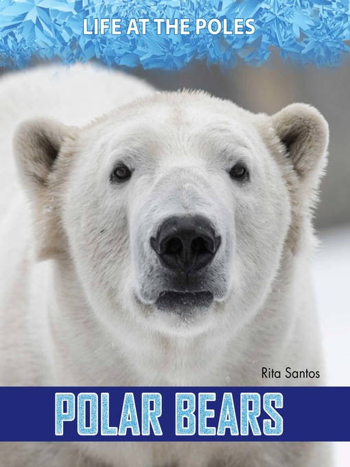 Title details for Polar Bears by Rita Santos - Available